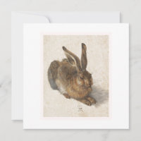 The Young Hare