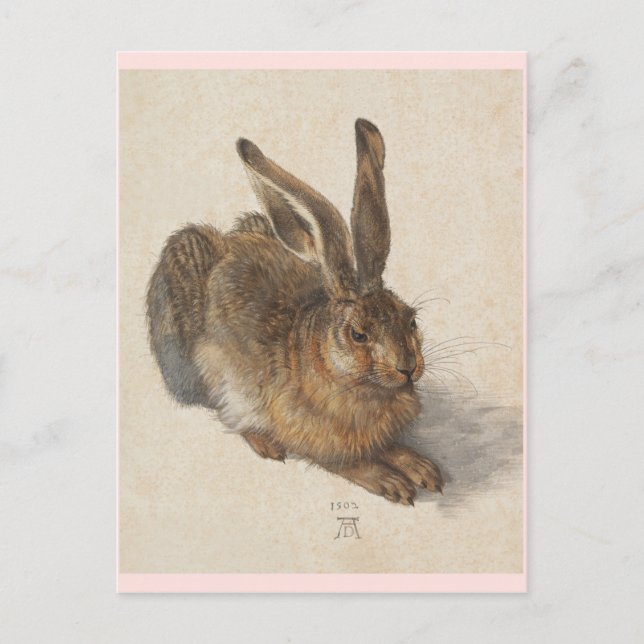 The Young Hare Postcard (Front)