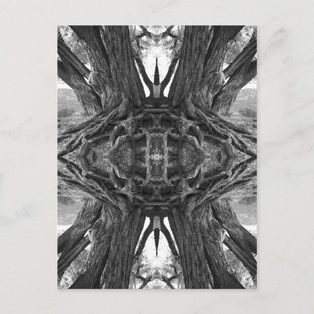 The Zen Master Postcard (Front)