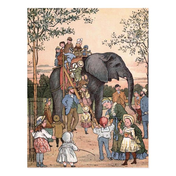 London Zoo Postcards Zazzle UK