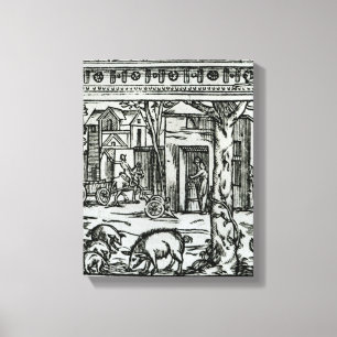 Theatre d'Agriculture et Mesnage des Champs' Canvas Print