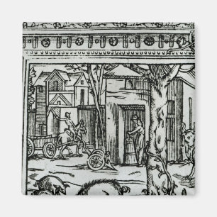 Theatre d'Agriculture et Mesnage des Champs' Magnet