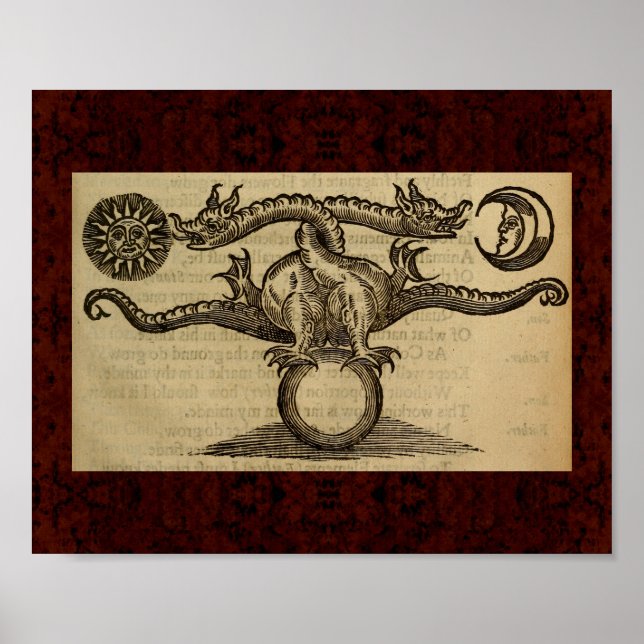 Theatrum Chemicum: 1652 Alchemy Illustration Poster (Front)