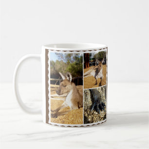 Thee Kangaroo Picture Collage, Coffee Mug