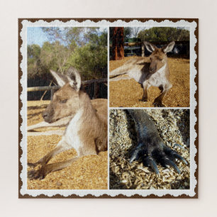 Thee Kangaroo Picture Collage, Jigsaw Puzzle