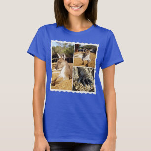 Thee Kangaroo Picture Collage, Ladies Tshirt