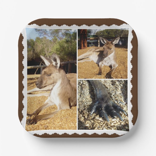 Thee Kangaroo Picture Collage, Paper Plates (Front)