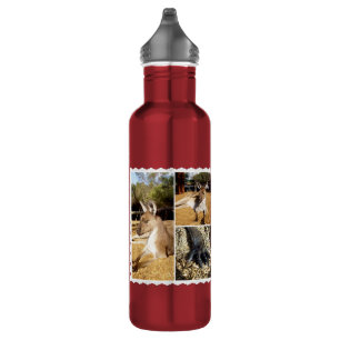 Thee Kangaroo Picture Collage, Water Bottle
