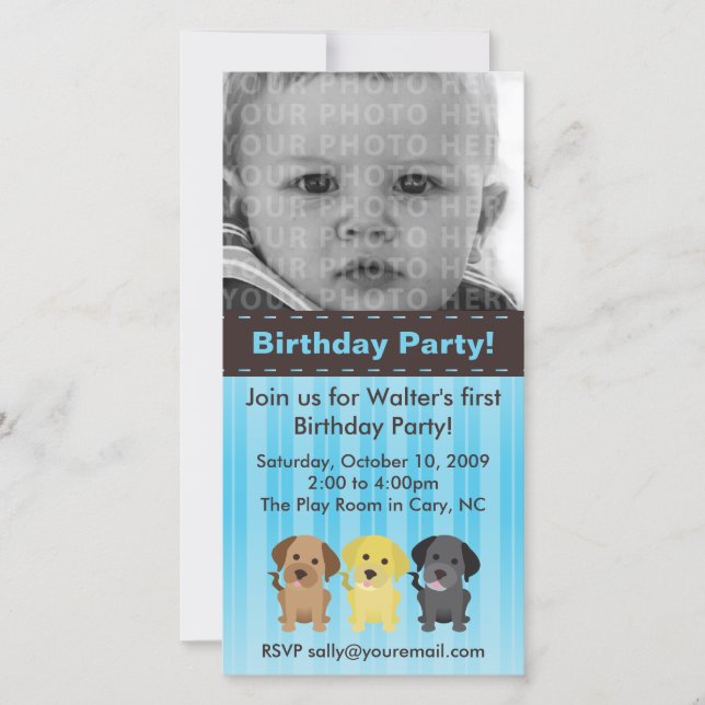 Thee Labradors Blue Birthday Invitation (Front)