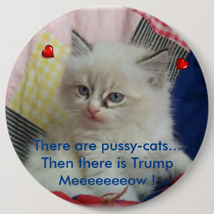 Then there is Trump 6 Cm Round Badge