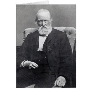 Theodor Storm, c.1886