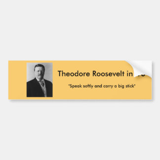 Theodore Roosevelt for President Bumper Sticker