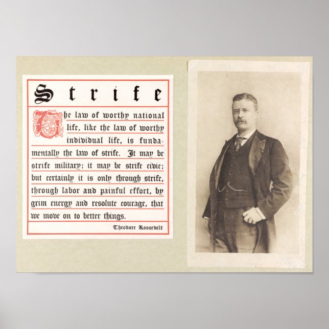 Theodore Roosevelt Motivational Poster (Front)