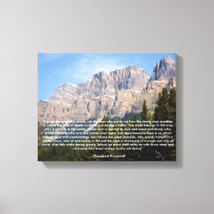 Theodore Roosevelt Motivational Quote Canvas Print