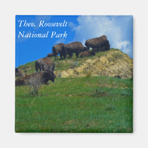 Theodore Roosevelt National Park ND magnet