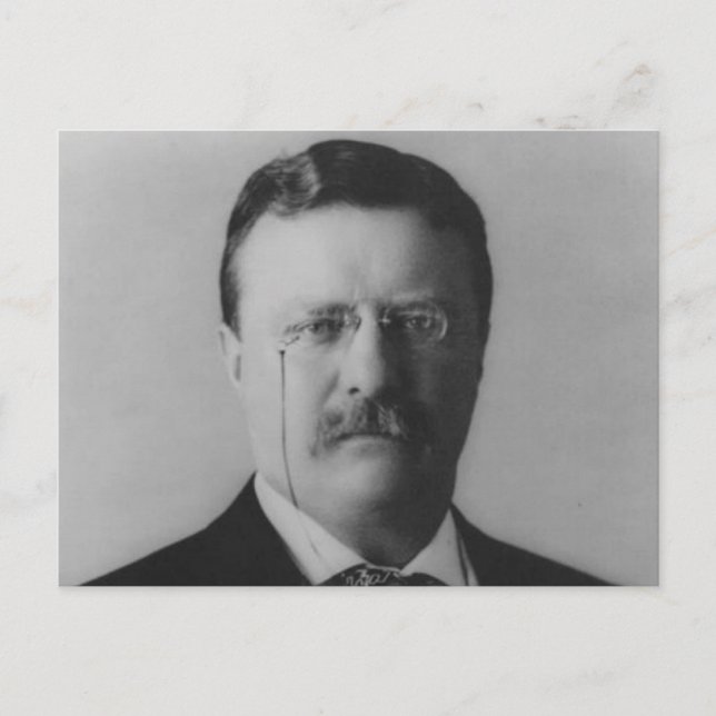Theodore Roosevelt Portrait Postcard (Front)