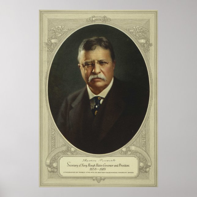 Theodore Roosevelt Poster (Front)
