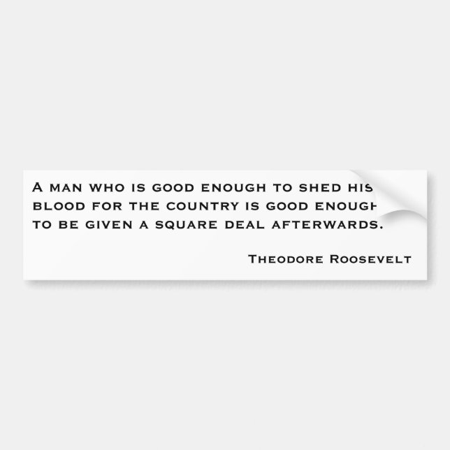 Theodore Roosevelt Quotes 2 Bumper Sticker (Front)