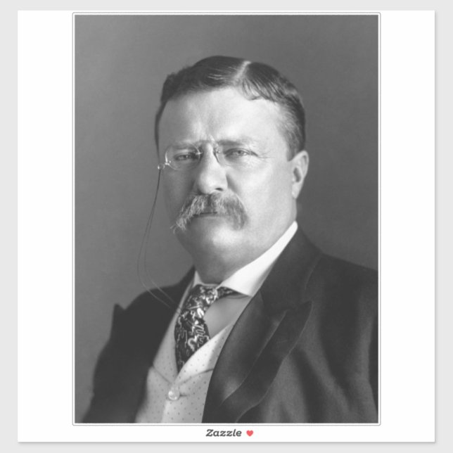 Theodore Roosevelt Teddy President Republican (Sheet)
