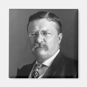 Theodore Roosevelt Teddy President Republican Magnet