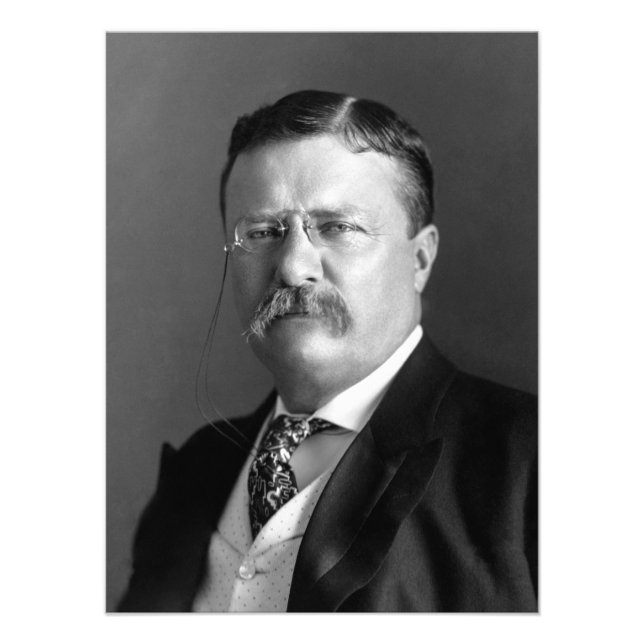 Theodore Roosevelt Teddy President Republican Photo Print (Front)