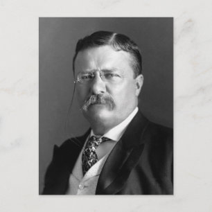 Theodore Roosevelt Teddy President Republican Postcard