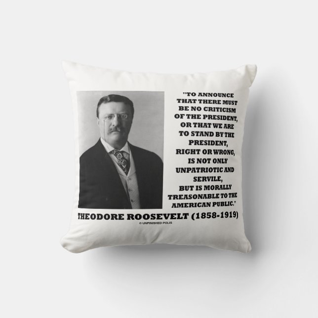 Theodore Roosevelt Treasonable American Public Cushion (Front)