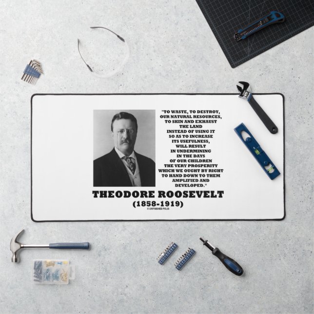 Theodore Roosevelt Waste Destroy Natural Resources Desk Mat (Workstation)