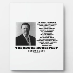 Theodore Roosevelt Waste Destroy Natural Resources Plaque