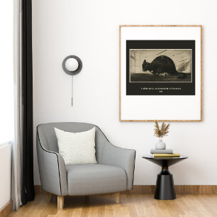 Théophile Steinlen, Black Cat Arching Its Back Poster