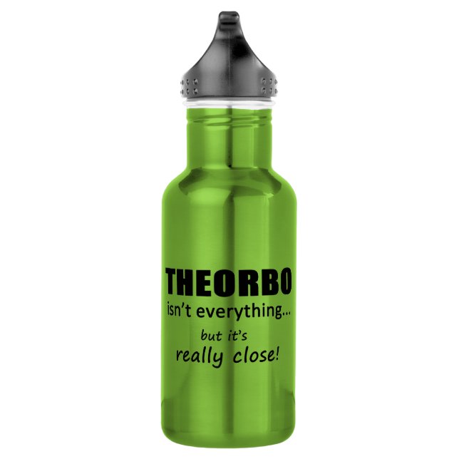 Theorbo Isn't Everything 532 Ml Water Bottle (Right)