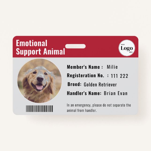 Therapy Animal ID Photo Barcode Red Grey ID Badge (Front)