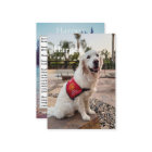 Therapy Dog Trading Card for Therapy Dog Visits