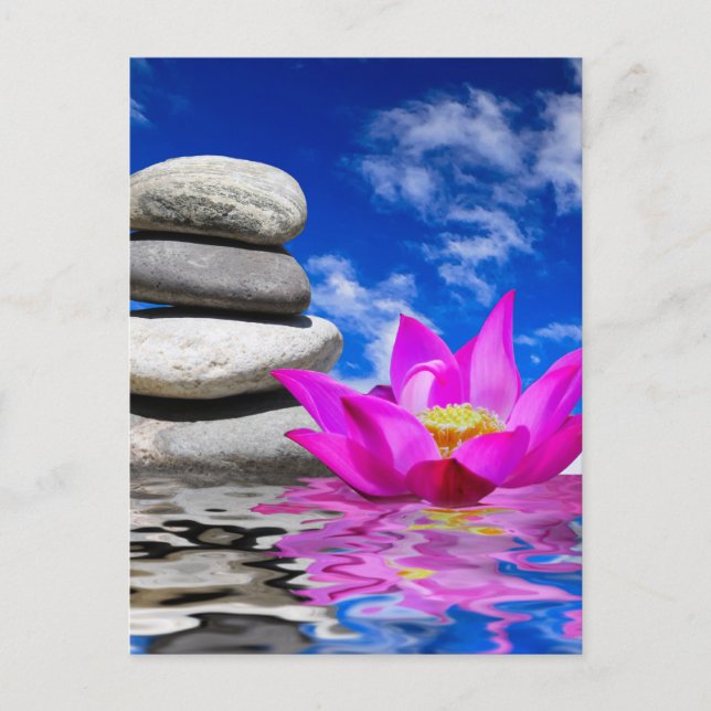 Therapy Rock Stones & Lotus Flower Postcard (Front)