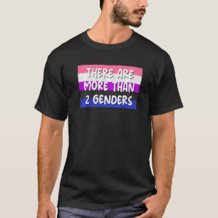 There Are More Than 2 Genders Genderfluid Flag Omn T-Shirt