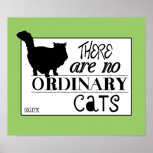There Are No Ordinary Cats - All Colours Poster