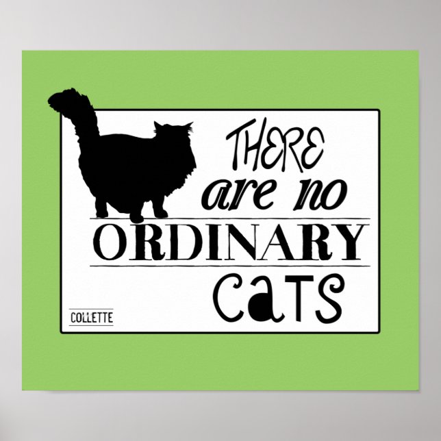 There Are No Ordinary Cats - All Colours Poster (Front)
