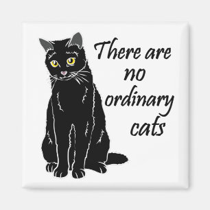 There Are No Ordinary Cats Magnet