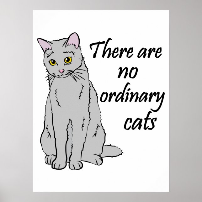 There Are No Ordinary Cats Poster (Front)
