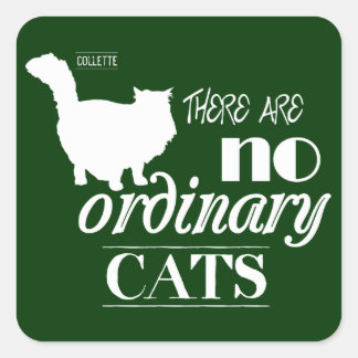 There Are No Ordinary Cats Square Sticker