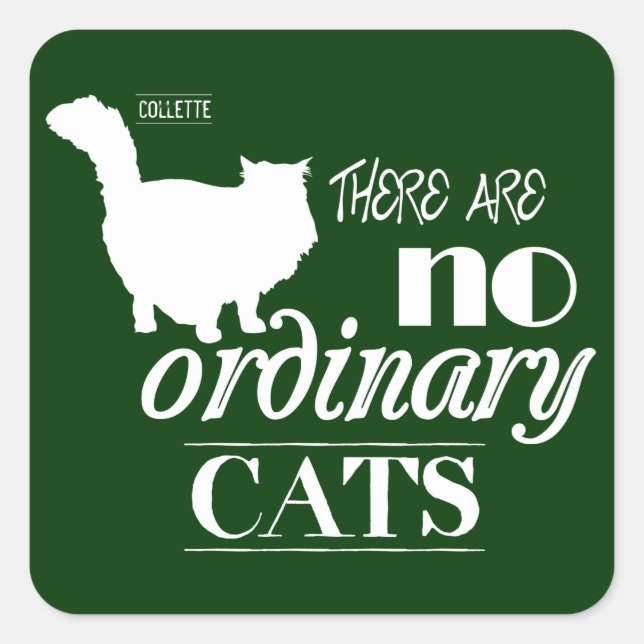 There Are No Ordinary Cats Square Sticker (Front)