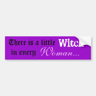 There is a little Witch / Woman bumper sticker