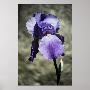 There is Beauty Print