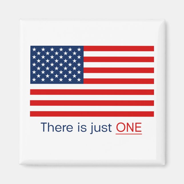 There is just one American flag. Magnet (Front)