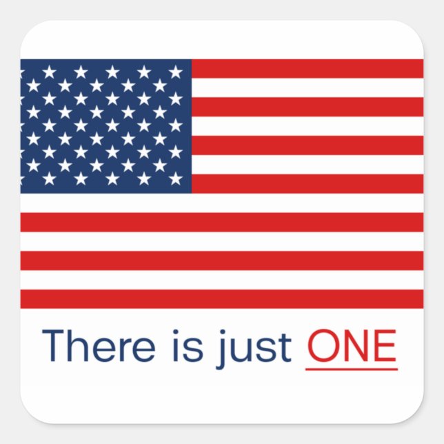There is just one American flag. Square Sticker (Front)