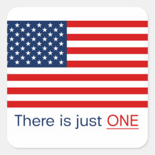 There is just one American flag. Square Sticker