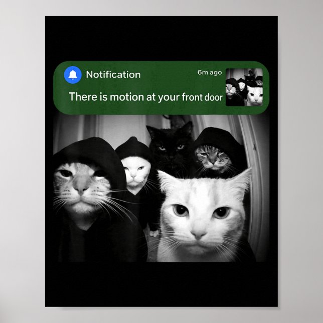 There is motion at front door funny cat motion mem poster (Front)