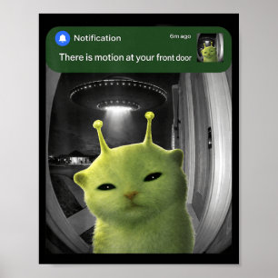 There is Motion At Front Door Funny Cat UFO Meme Poster