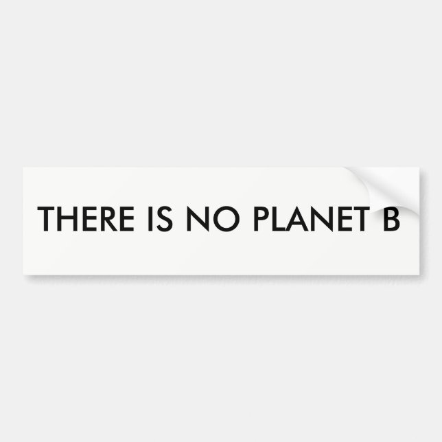 THERE IS NO PLANET B BUMPER STICKER (Front)