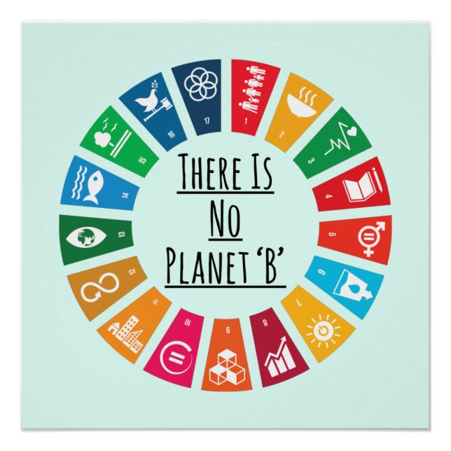 There Is No Planet B Climate Change Global Warming Poster (Front)